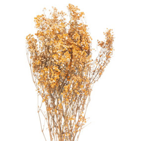 Dried Babys Breath Bunch Artificial Plant - H80 cm - Orange