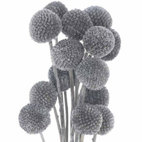 Dried Billy Ball Bunch of 20 Artificial Plant - H50 cm - Grey