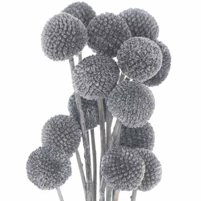 Dried Billy Ball Bunch of 20 Artificial Plant - H50 cm - Grey