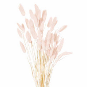 Dried Bunny Tail Bunch of 40 Artificial Plant - Pink - H60 cm - Pale Pink