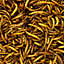 Dried Mealworms Protein Rich Wild Bird Food  (2.5L)