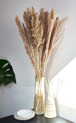 Dried Pampas Grass In Glass Vase - 72cm