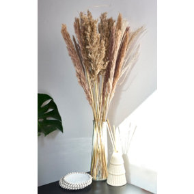 Dried Pampas Grass In Glass Vase - 72cm