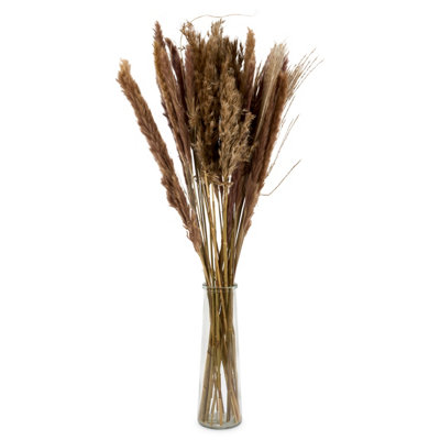Dried Pampas Grass In Glass Vase - 72cm