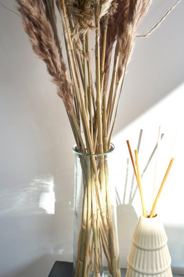 Dried Pampas Grass In Glass Vase - 72cm - 3