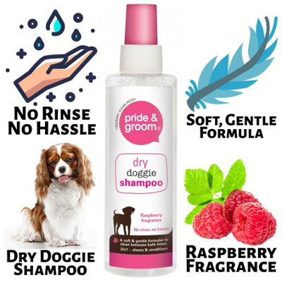 Dry Doggie Shampoo Pride & Groom Raspberry Scented Dog Cleans & Conditions, 200ml