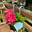 Duck Egg Blue Balcony Hanging Planters (Set of 2)