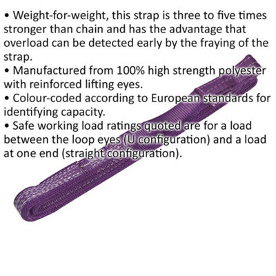 Durable 2 Metre Load Sling with 1 Tonne Capacity - High Strength Polyester Lifting Strap