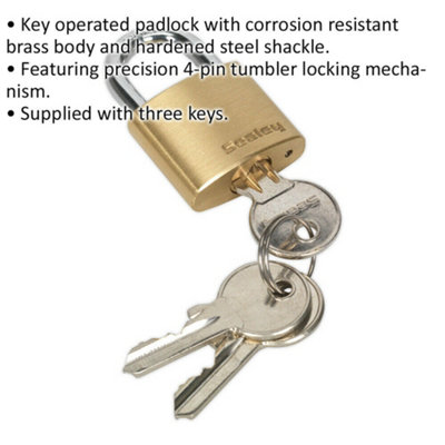 Durable 30mm Brass Padlock with 5mm Steel Shackle and 3 Keys for ...