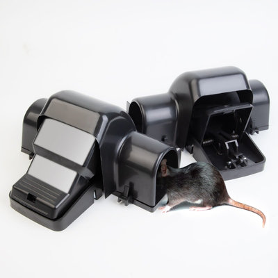 Durable and Light-weight Pack of 2 Safe and Effective Rat Traps ...