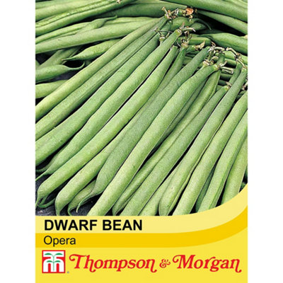 Dwarf Bush Bean Opera 1 Seed Packet (75 Seeds)