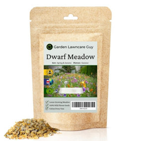 Dwarf Meadow 100% Wildflower Seeds Low Growing Perennial Seed 1kg