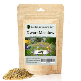 Dwarf Meadow Wildflower Seeds 100g (50m²)