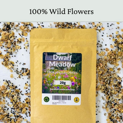 Dwarf Meadow Wildflower Seeds 100g (50m²) - 6