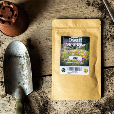 Dwarf Meadow Wildflower Seeds 100g (50m²) - 7