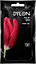 Dylon Hand Dye 50g - Tulip Red