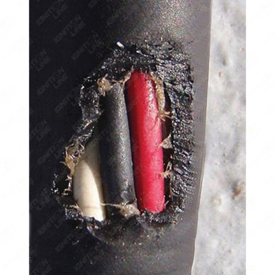 E-Tech RATSTOP Mice Rat Rabbit Squirrel Rodent Repeller Deterrent Spray ...