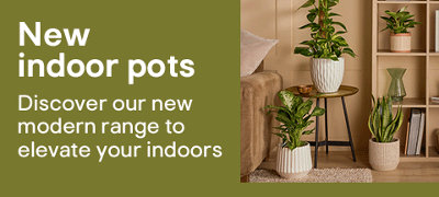 Shop new Pots range