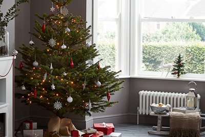 Read: Real Christmas tree buying guide.