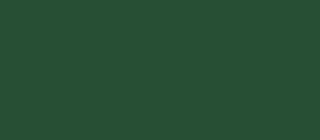 Shop Valspar premium interior emulsion in emerald temple. 