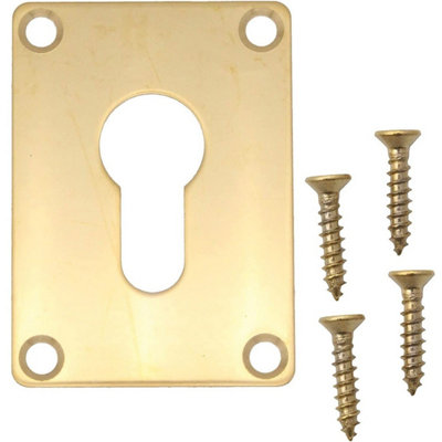 EAI - Repair Escutcheon - Euro - 65x47x1.2mm - PVD Brass Price Comparisons | Compare The Build