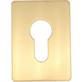 EAI - Repair Escutcheon Key Hole Cover Plate Euro Profile Self Adhesive Fix - Polished Brass - 65 x 47mm