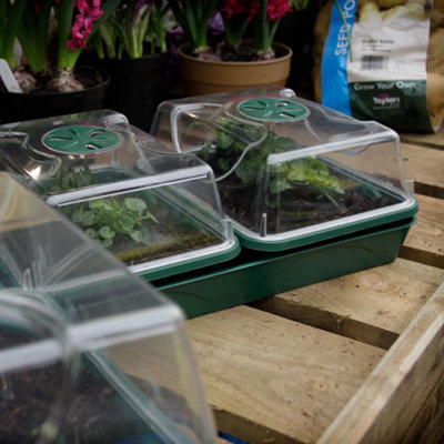 EarlyGrow Heated 3-Bay Windowsill Propagator