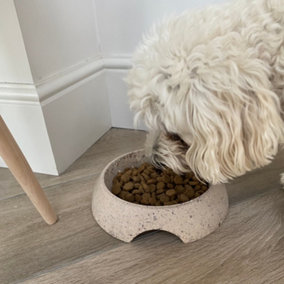 Earthy Sustainable Nut Pet Bowl