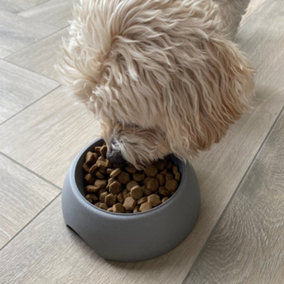 Earthy Sustainable Straw Pet Bowl