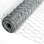 Easipet Galvanised Chicken Wire/Mesh Fencing Netting for Rabbit Fence Garden 25mm x 60cm x 25m (22g)