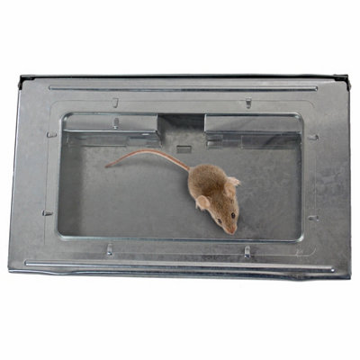 https://media.diy.com/is/image/KingfisherDigital/easipet-metal-mouse-trap-humane-multi-reusable-bait-pest-control~5060477747513_02c_MP?$MOB_PREV$&$width=618&$height=618