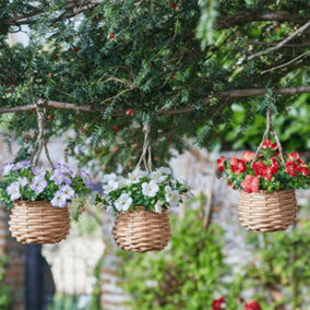 Easy Basket - Blossom - Hanging Basket