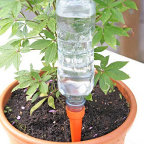 Easylife Automatic Watering Spikes (Set of 8)