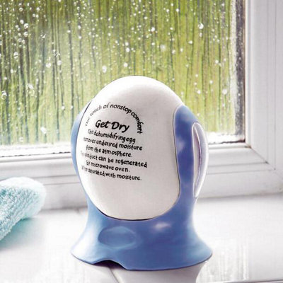 Easylife Dehumidifying Egg - Porous Ceramic Silica Moisture Absorber ...