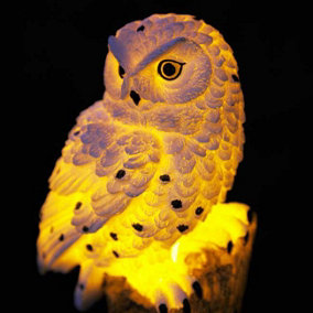 Easylife Glowing Solar Owl Weather-Resistant