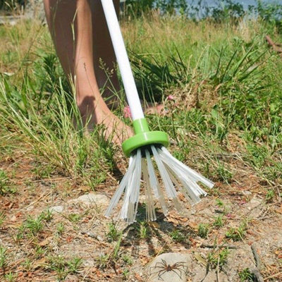 Eco-Friendly Bug Trap and Spider Catcher, Non-Toxic with Extra-Long ...