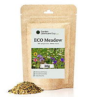 Eco Meadow - Grass & Wildflower SeedsMix 100g (20m²)