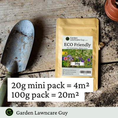 Eco Meadow - Grass & Wildflower SeedsMix 100g (20m²)