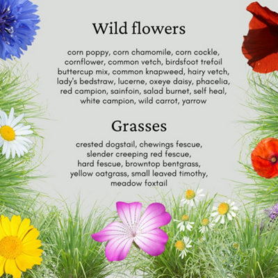 Eco Meadow - Grass & Wildflower SeedsMix 100g (20m²) - 5