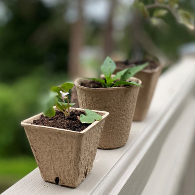 planter hanger 4-Pack Macrame Plant Hanger