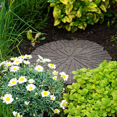 Eco Way Cracked Log Stepping Stone - Earth 4-Pack