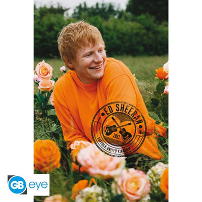Ed Sheeran Rose Field 61 x 91.5cm Maxi Poster