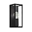Eglo Amezola Black And Clear Metal And Glass IP44 Bathroom or Outdoor Wall or Ceiling Light, (W) 11cm