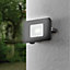 EGLO Faedo 3 Black Aluminium Outdoor LED Spotlight, 30W