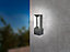 EGLO Riforano IP44 Black LED Outdoor Wall Light