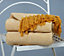 EHC Natural Cotton Two Tone Herringbone Sofa Arm Chair Bedspread Settee Single Throw, Yellow - 150 x 200 cm, Double Size