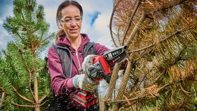 Einhell 12.5cm PXC Cordless Mini Chainsaw Handheld Pruning Saw 18V Brushless Power X Change GE