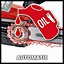 Einhell 25cm Power X-Change Cordless Chainsaw 18V High Quality OREGON Bar & Chain - Body Only - GE-LC 18/25 Kit Solo