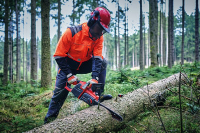 Einhell Cordless Chainsaw 36V 40cm Brushless Professional Range GP-LC ...