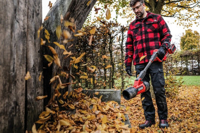 Einhell Cordless Leaf Blower 36V 270kmh Brushless Professional Range ...